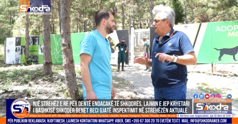 benet beci streheza e qenve 2024