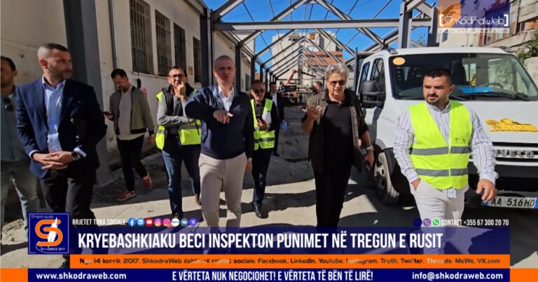 beci inspektim tregu rusit 2024